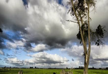 雷速体育比分官网直播-尼克斯完胜掘金，布伦森点燃赛场